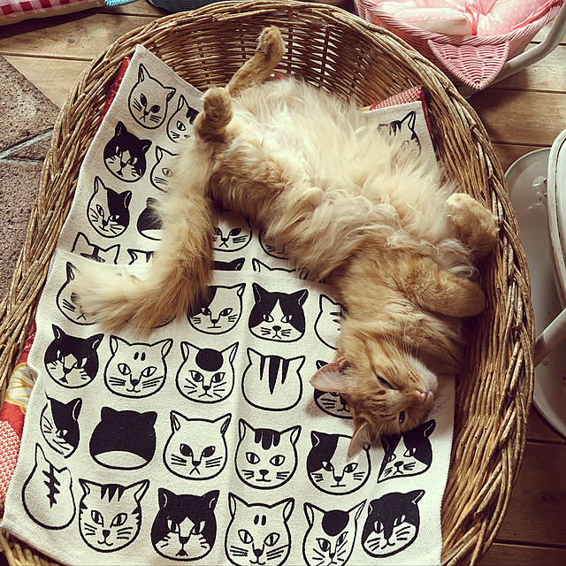Maki-nekomamireさんの実例写真