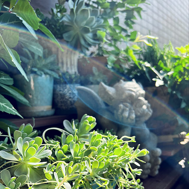 pooさんの実例写真