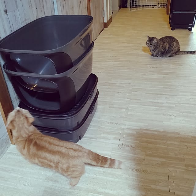 runaさんの部屋