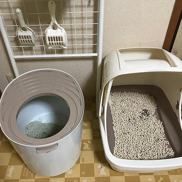 nekohagu2022さんの実例写真