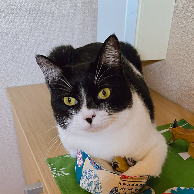 viraさんの実例写真