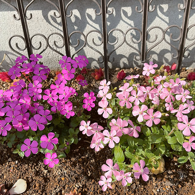 mukkuさんの部屋