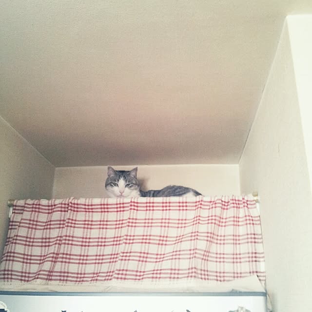 emmyyさんの実例写真