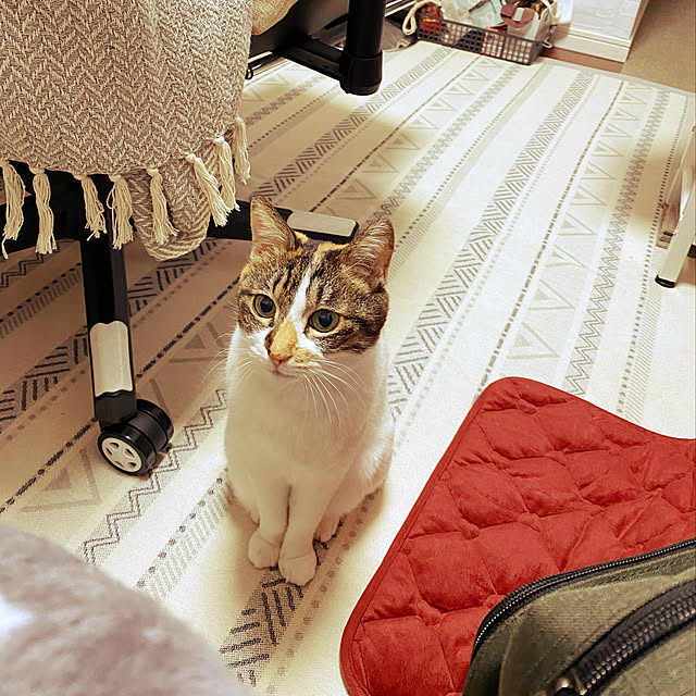 zinさんの実例写真