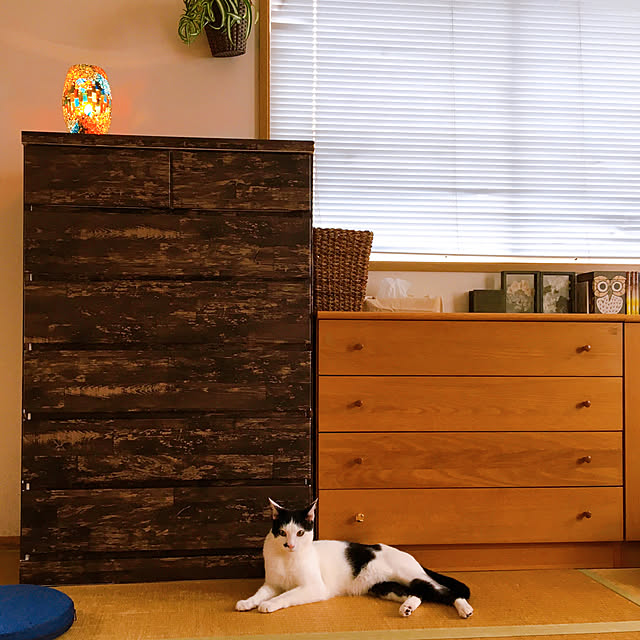 nobikoさんの実例写真