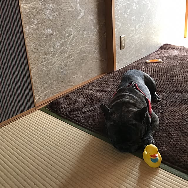 smileAKKさんの実例写真