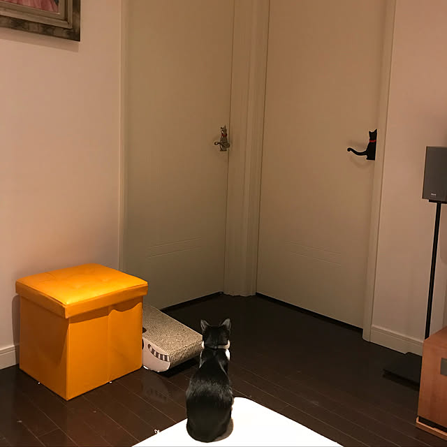 akuakuさんの実例写真