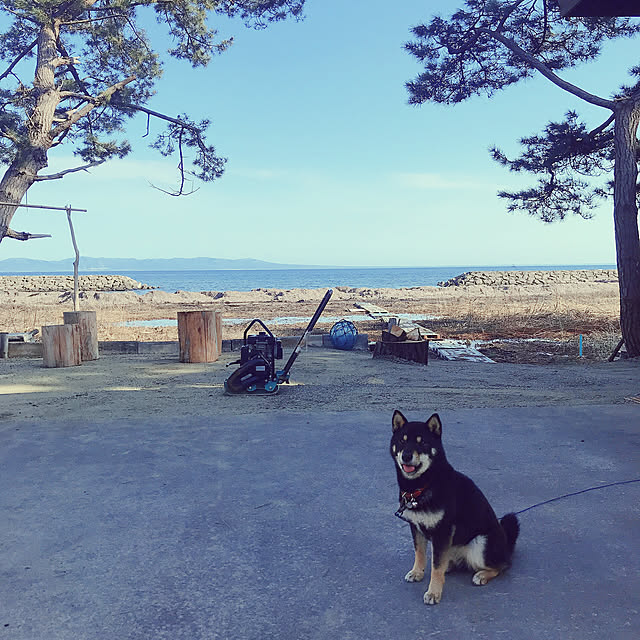 takmakさんの実例写真