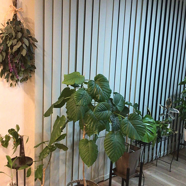 houenさんの部屋