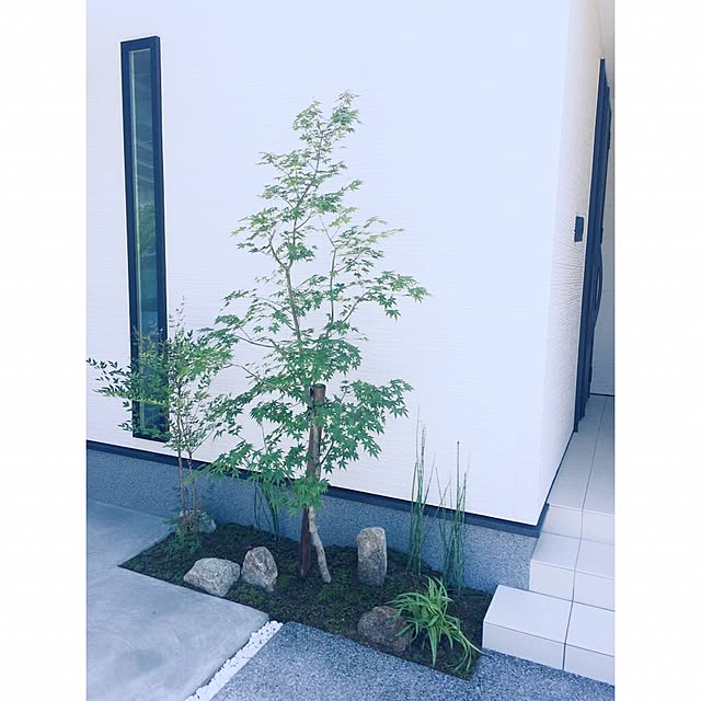 stracantareさんの部屋