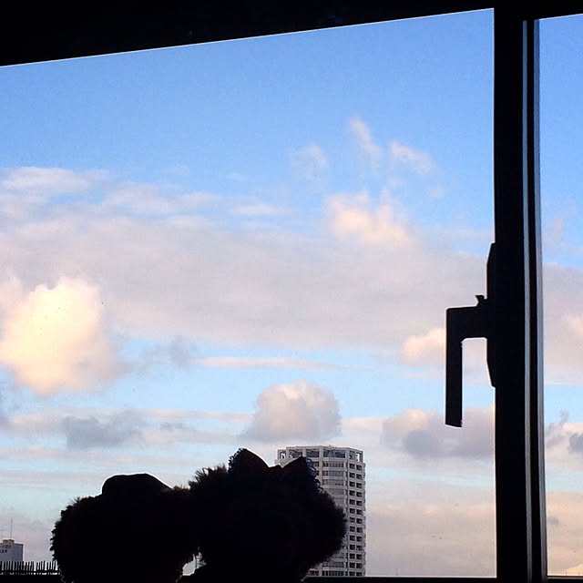 iyashiatさんの実例写真