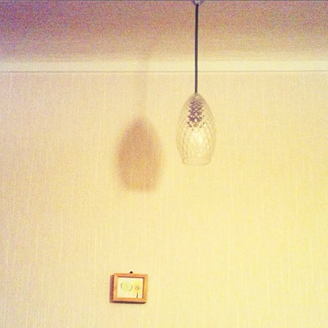SRさんの実例写真