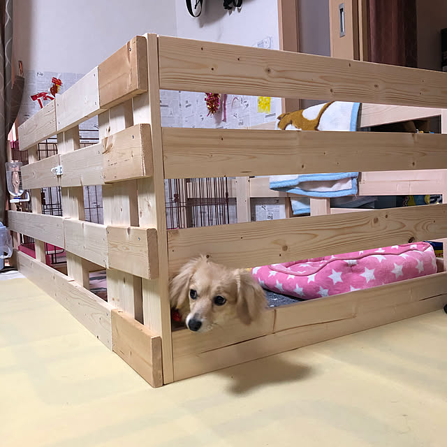 akiさんの実例写真