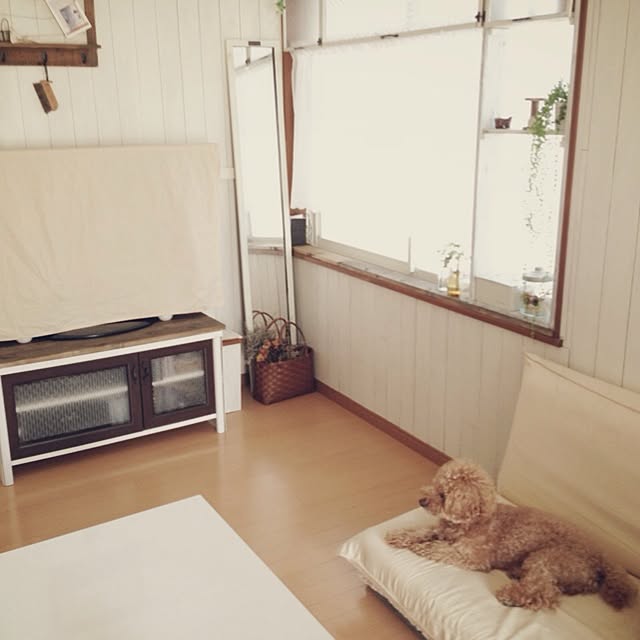 rookuさんの実例写真