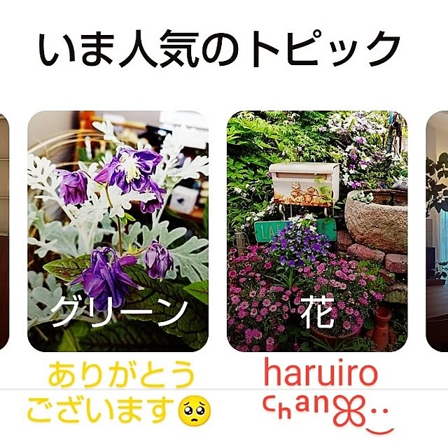 katさんの部屋