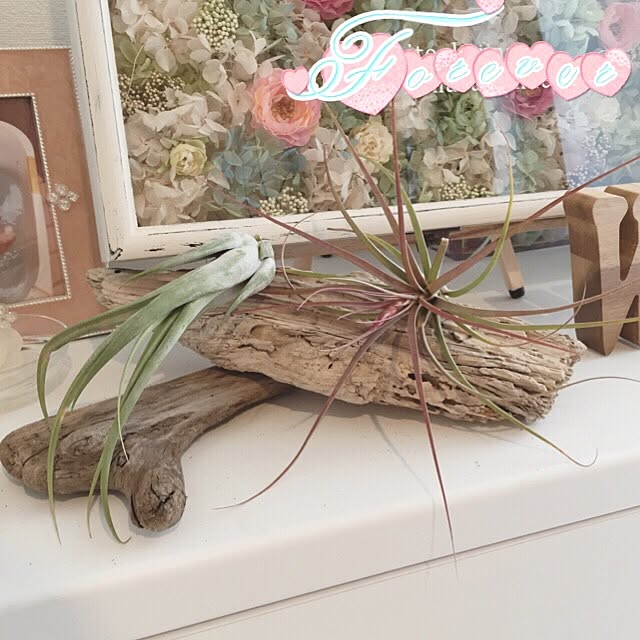 minamiさんの実例写真