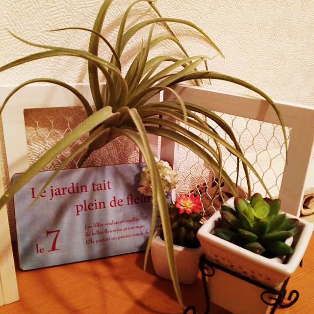 mamiさんの実例写真