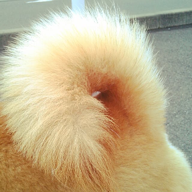 kotaさんの実例写真