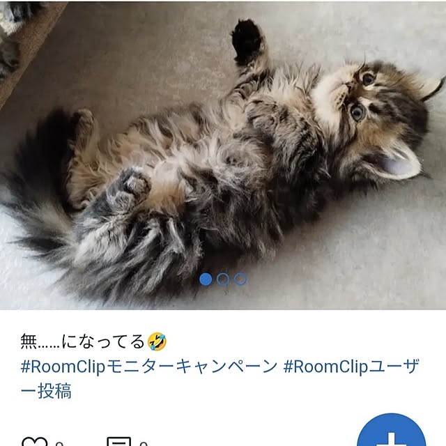 makaronさんの実例写真