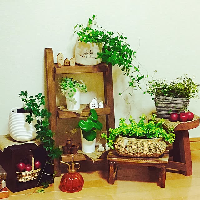 juboccoさんの実例写真