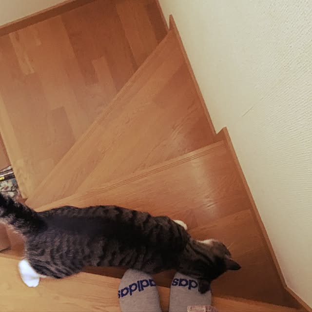 kimikimiさんの実例写真