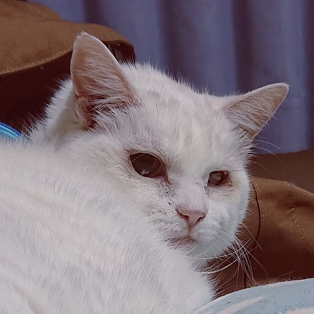 NOAHさんの実例写真