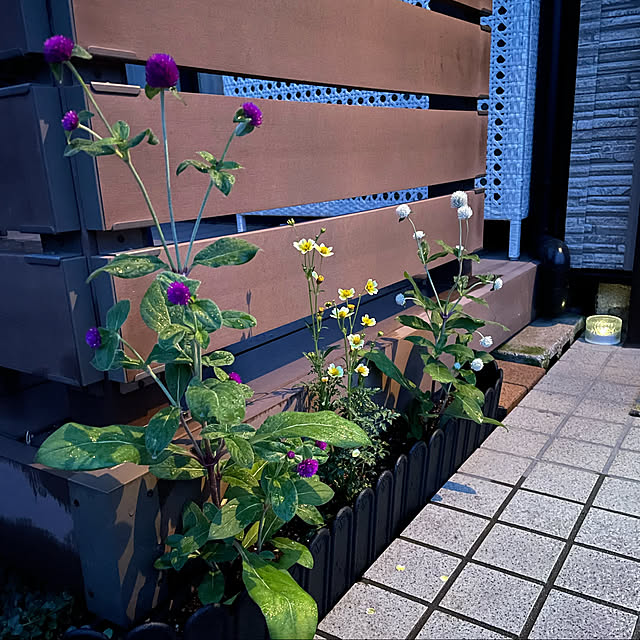 ronronさんの実例写真