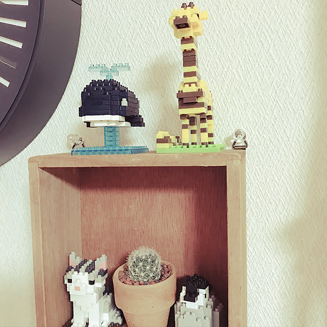 HANAさんの実例写真