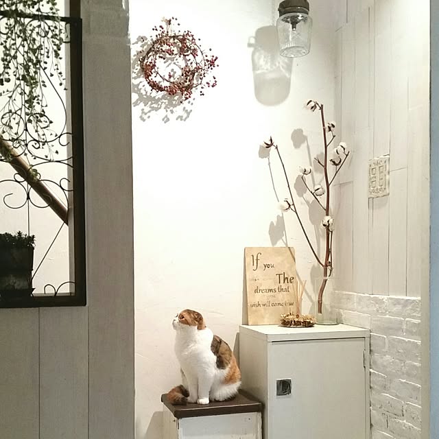 mikiさんの実例写真