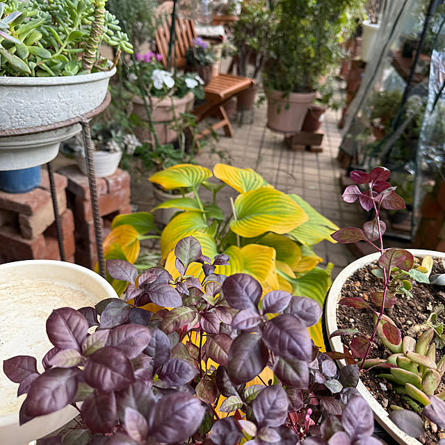 Aqettyさんの実例写真