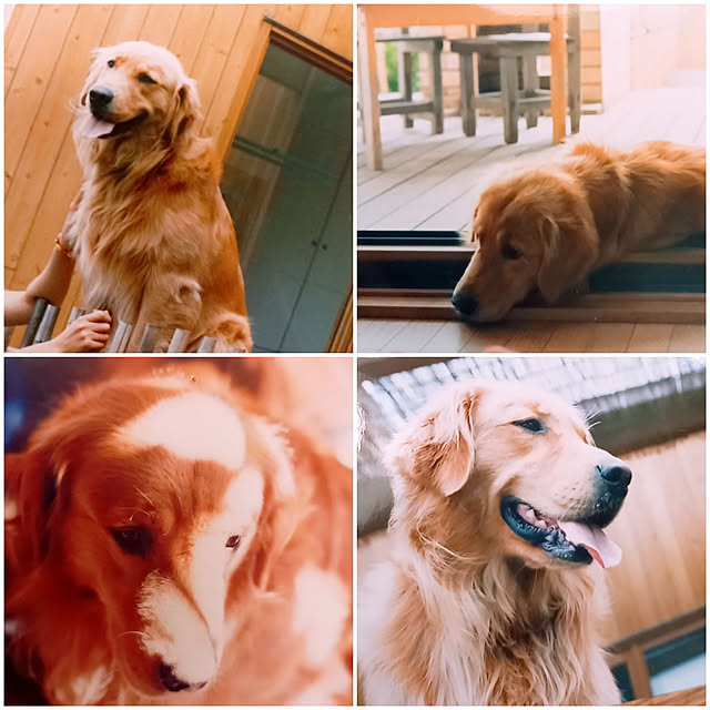 cafe0415hさんの実例写真