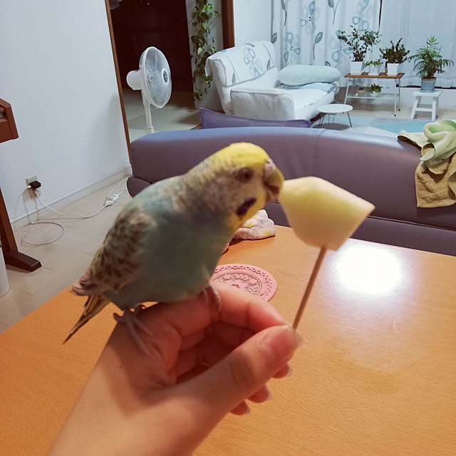 mitsuさんの実例写真