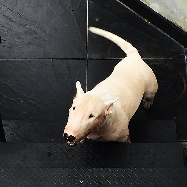 Thammaratさんの実例写真