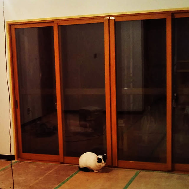 myさんの実例写真