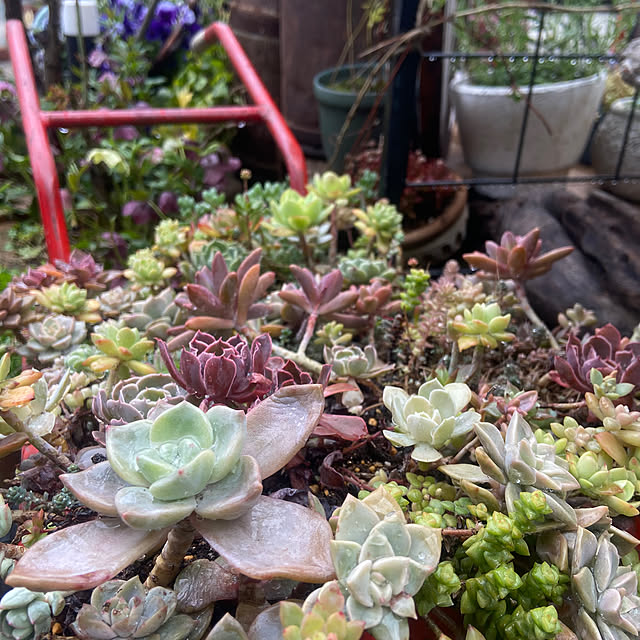 na-chanさんの部屋