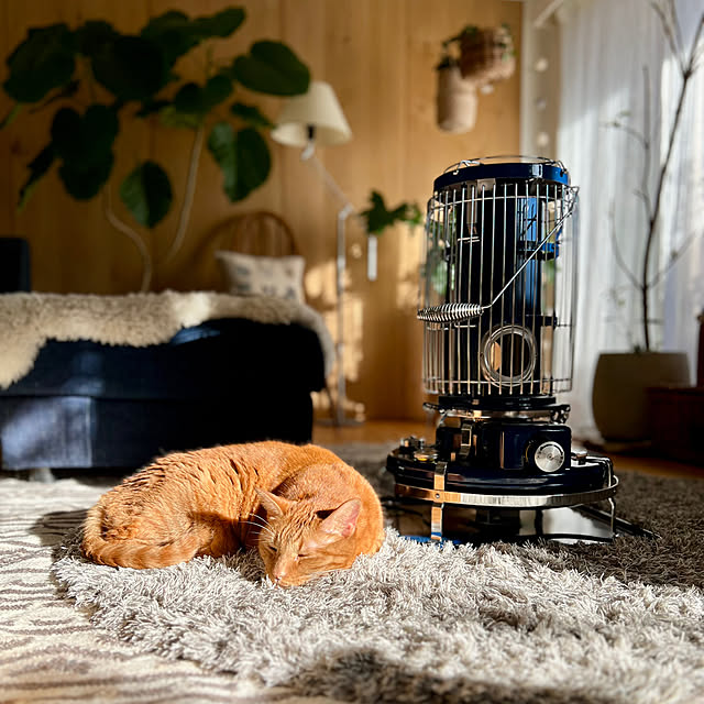 pooさんの部屋