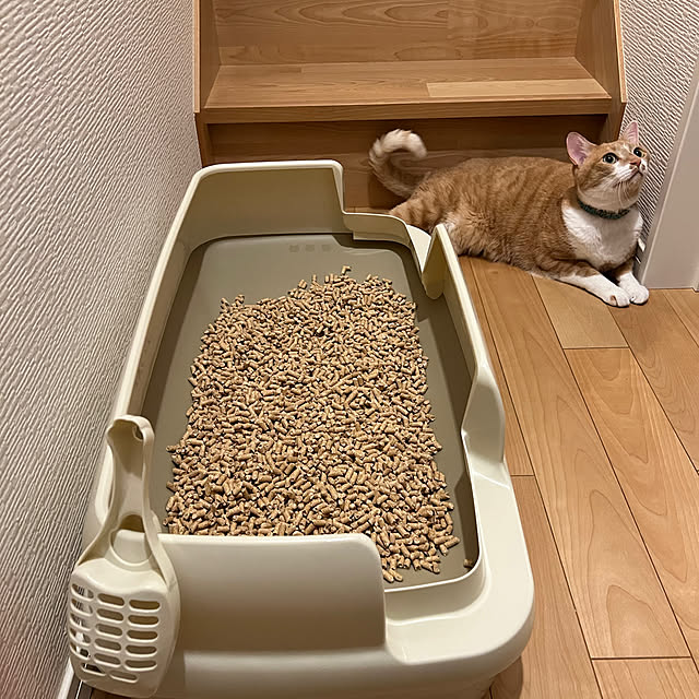 MEさんの実例写真