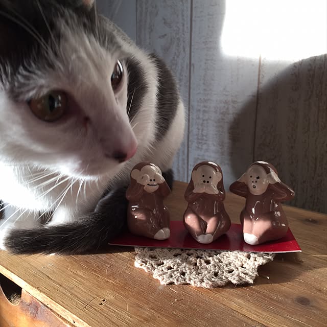 aichanさんの実例写真
