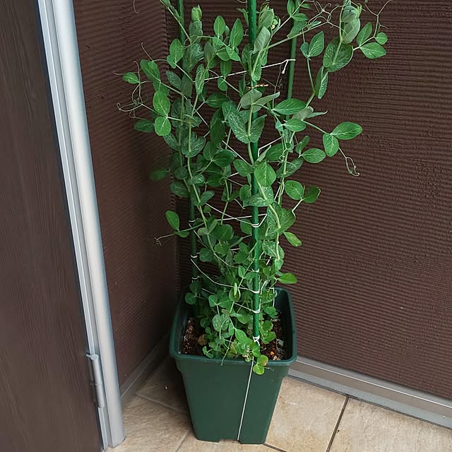 KOHAKUさんの部屋