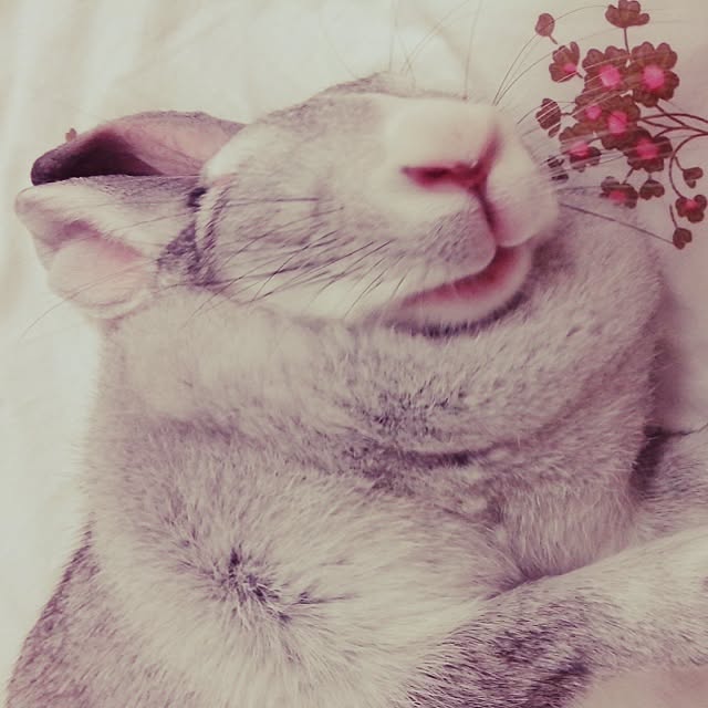 MARIさんの実例写真