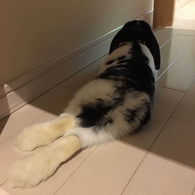 mana1021さんの実例写真