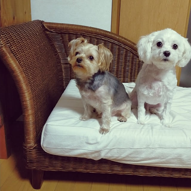 marcheさんの実例写真