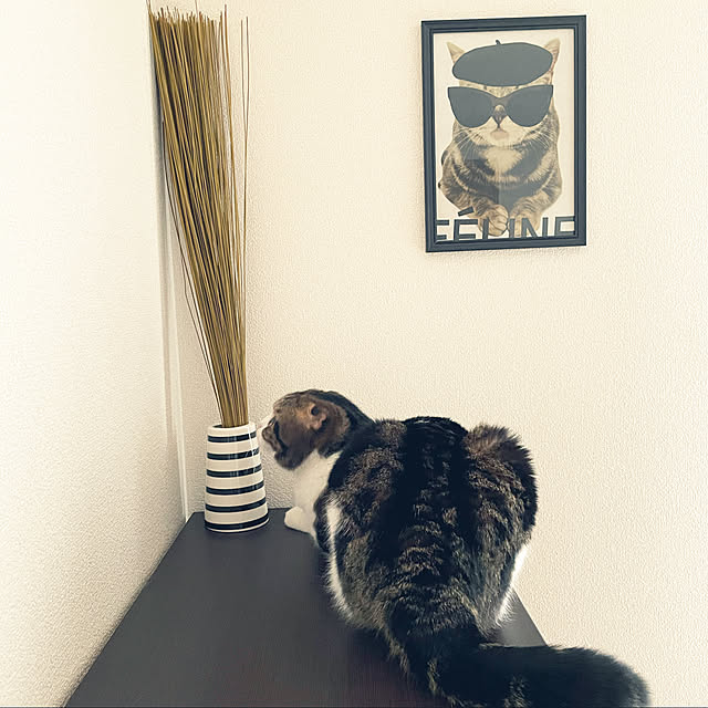 tansukeさんの実例写真