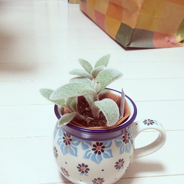 Vivianさんの実例写真