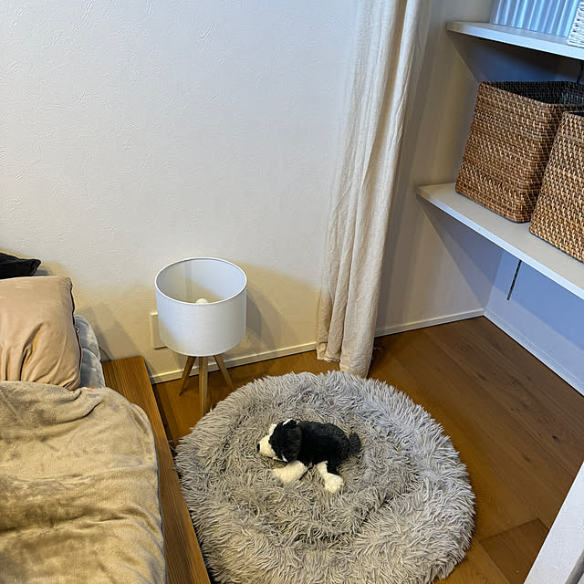ベッド周り/犬のいる暮らし/豆柴のいる家/造作棚/くらしのリズムを整える...などのインテリア実例 - 2024-03-10 09:14:42