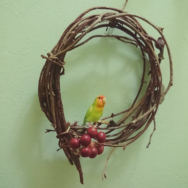 otti.さんの実例写真