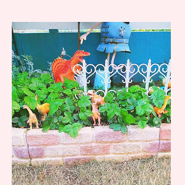Miyumamaさんの実例写真