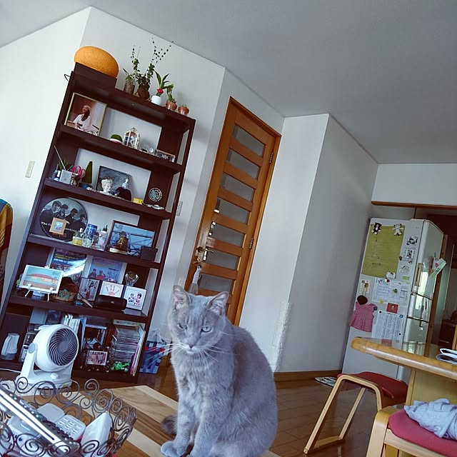 uchizukonyanさんの実例写真