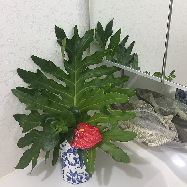 fu-mufumuさんの実例写真