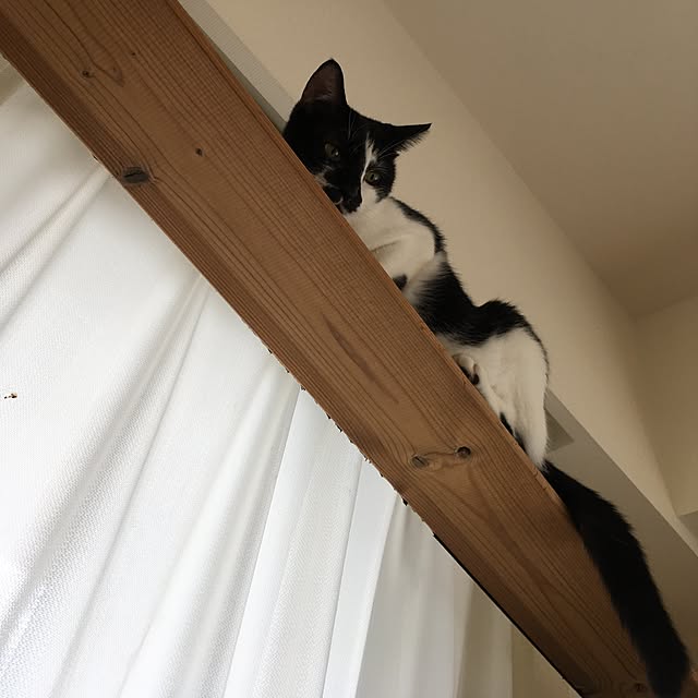 mikomaruさんの実例写真